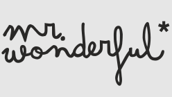 logo-mr wonderful
